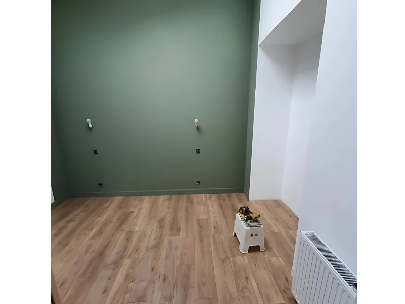 peinture interieure sainte luce sur loire