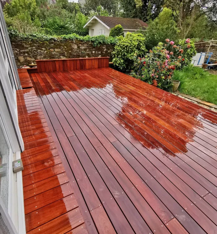 plaquiste sainte luce sur loire